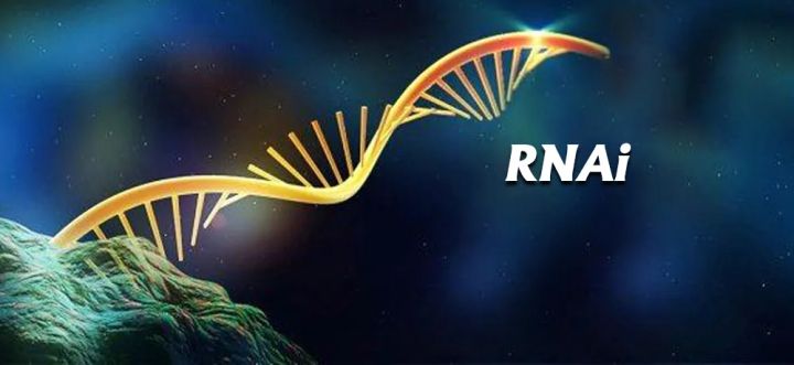 RNA干擾（RNAi）